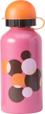 Stainless Steel Bottle