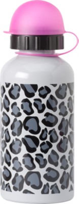 Stainless Steel Bottle