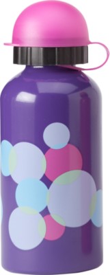 Stainless Steel Bottle
