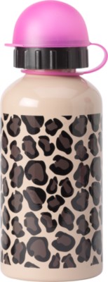Stainless Steel Bottle