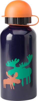Stainless Steel Bottle