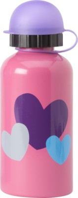 Stainless Steel Bottle