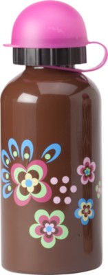 Stainless Steel Bottle