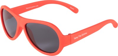 Tommy Sunglasses