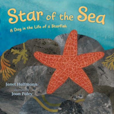 Star Of The Sea